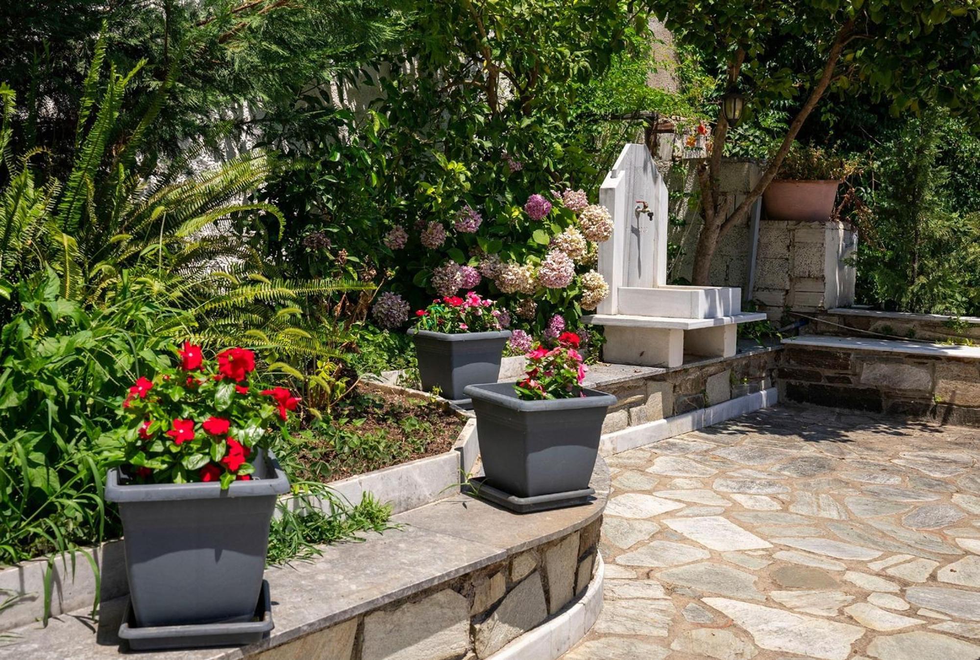 Paradeisos Rooms Pelion Áyios Dhimítrios Zewnętrze zdjęcie